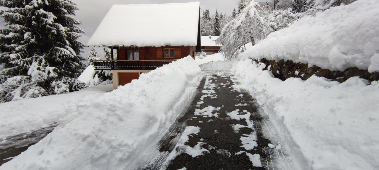 Chalet L'Alpe Saint-Pierre-d'Entremont  Exterior photo